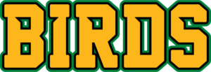 DirtyBirds_BirdsWordmark_Gold_BlackGreenOutline